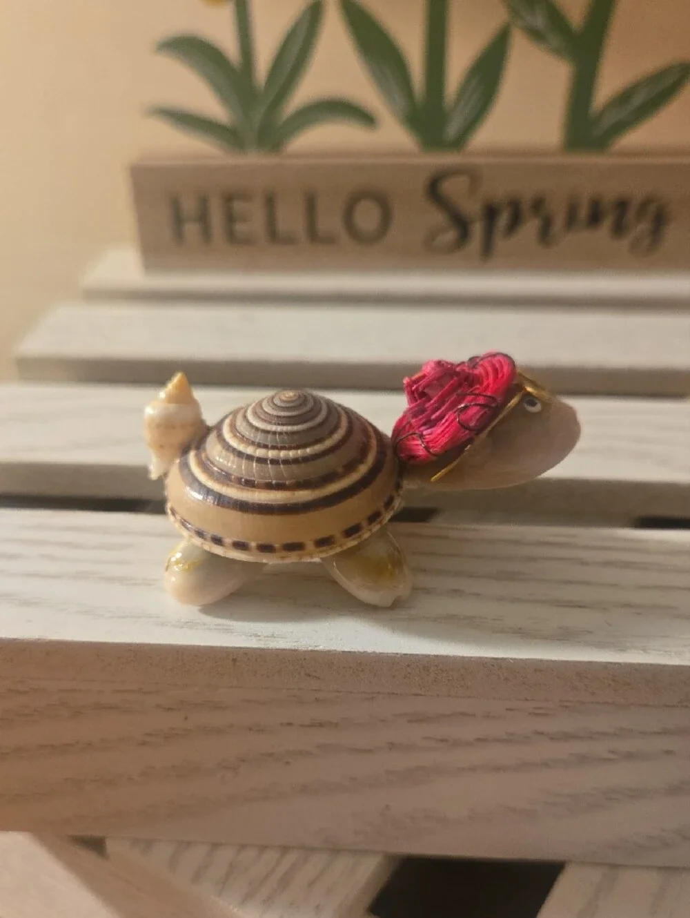 Decorative Small Pet Shell Turtle Figurine w- Glasses!
